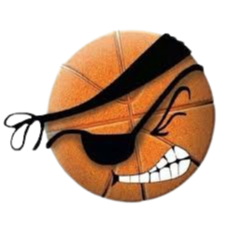 博戈塔海盗首发阵容