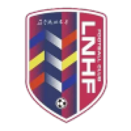 辽宁沈北禾丰女足首发阵容