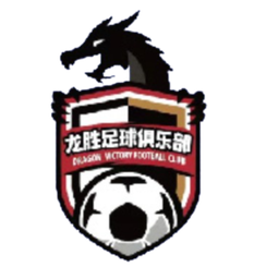 南京龙胜首发阵容