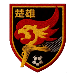 楚雄队首发阵容