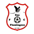 苏阿火烈鸟首发阵容