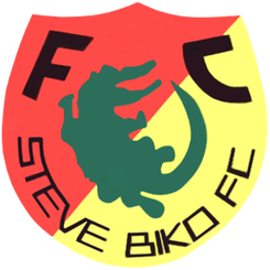 史蒂夫比科首发阵容